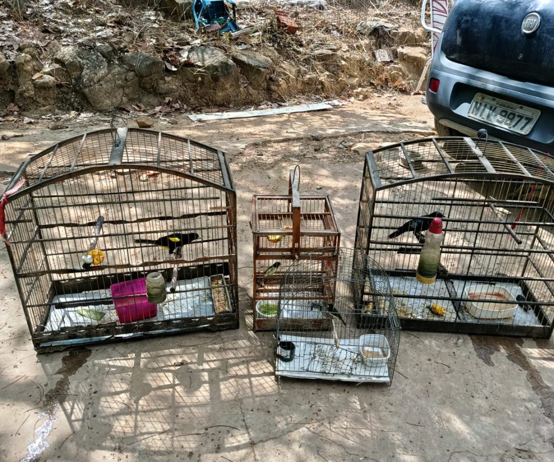 0049462e-ec83-46c3-a35a-238c4b0c553e