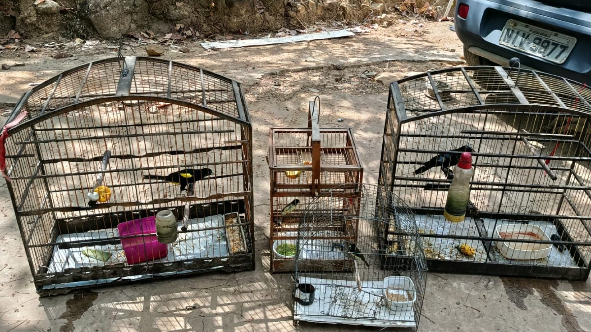 0049462e-ec83-46c3-a35a-238c4b0c553e