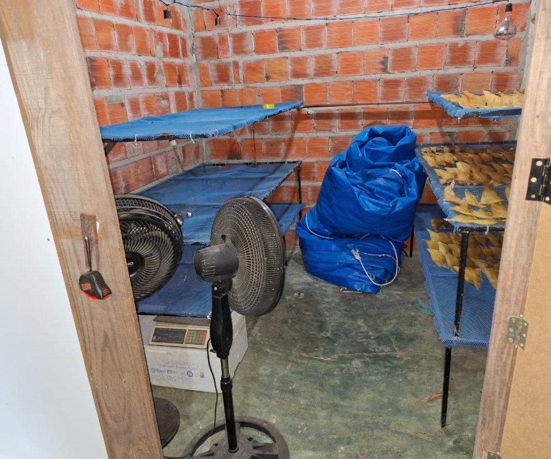 Foto: Divulgação/PC-PI