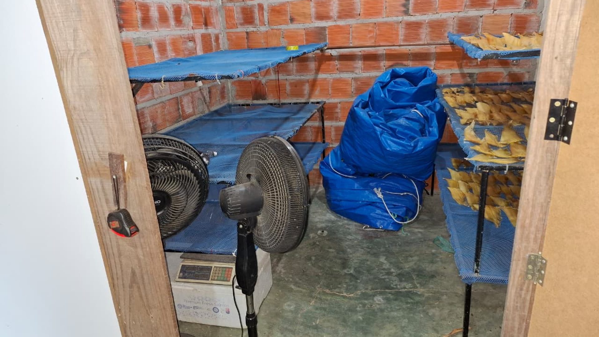 Foto: Divulgação/PC-PI