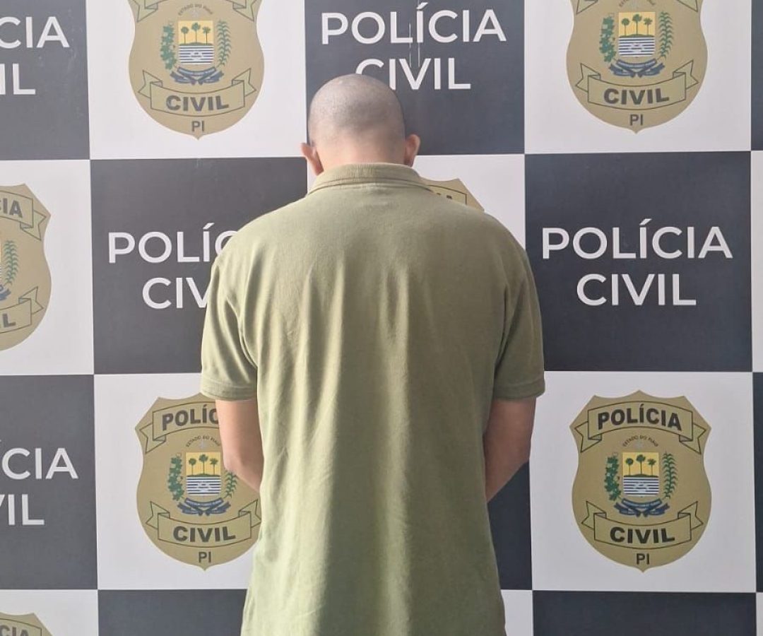 Foto: Divulgação/PC-PI
